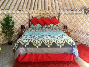 The Birds-Nest Yurt